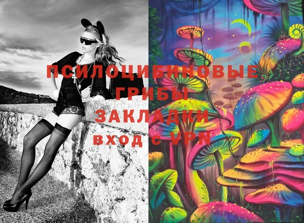 2c-b Балахна